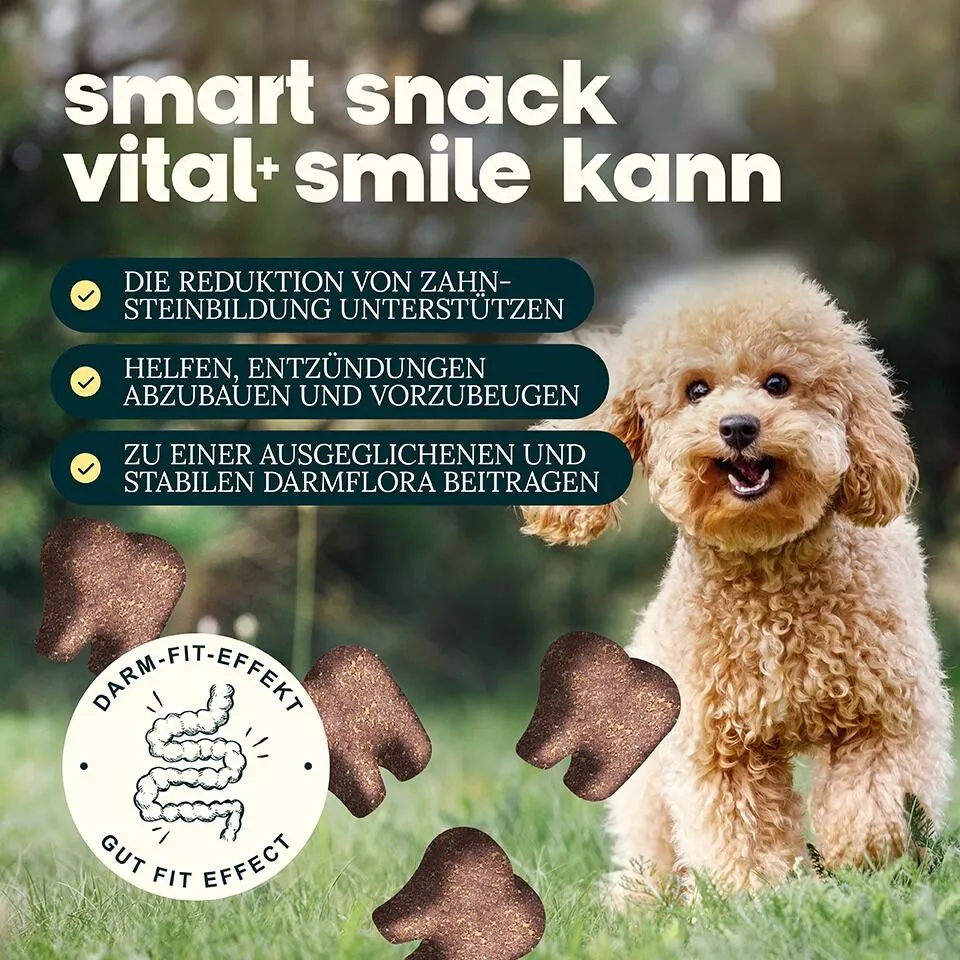 Smart Snacks VITAL+ Smile