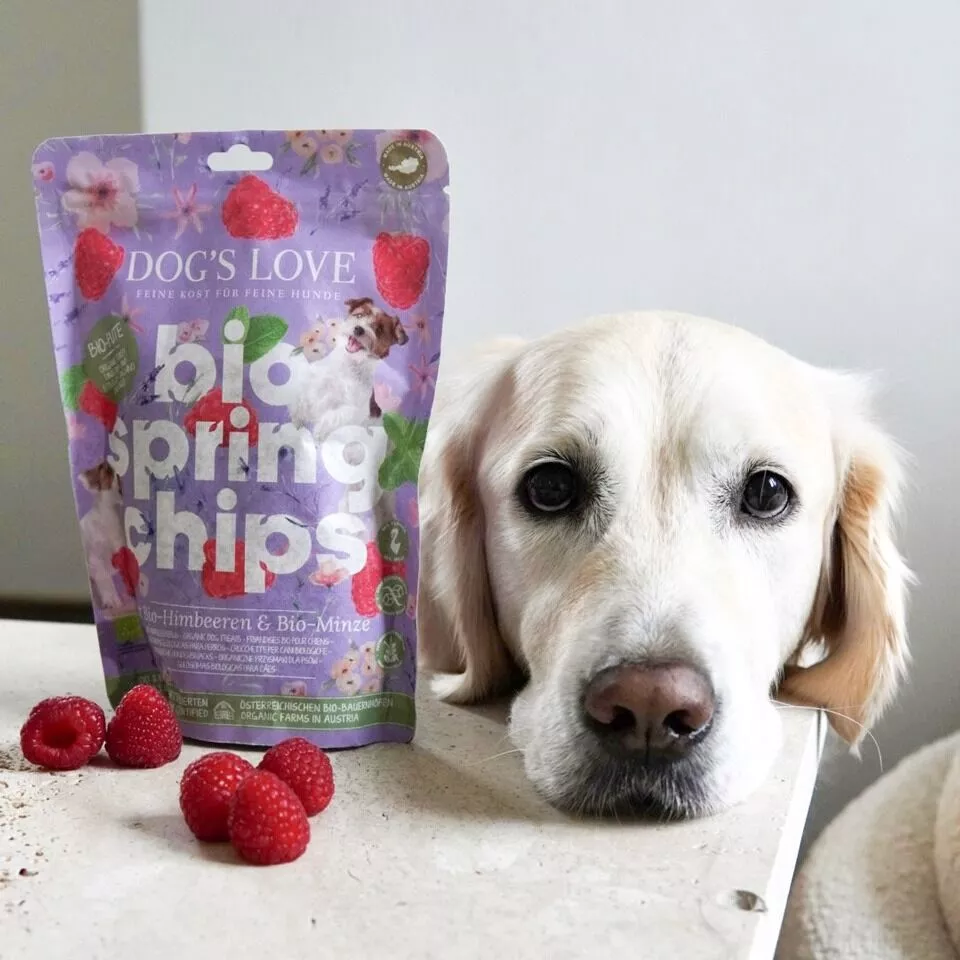 Frühlingschips Bio-Pute
