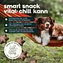 Smart Snacks VITAL+ Chill