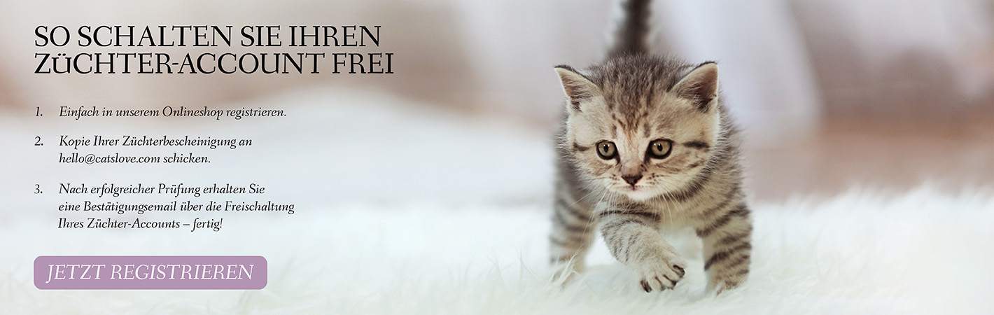 Banner auf dem ein Kitten auf einem Teppich läuft mit der Information zur Anmeldung und der Möglichkeit auf einen Button zu klicken um sich ein Kundenkonto anzulegen.