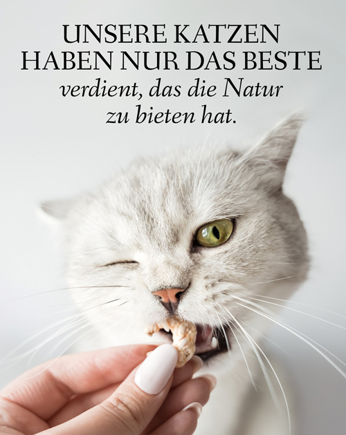 Banner mit einer Katze die an einer Garnele knabbert mit dem Text: Unsere Katzen haben nur das Beste verdient, das die Natur zu bieten hat.