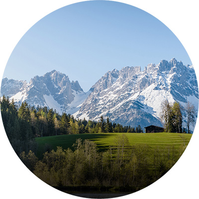 Landschaftsbild mit einer grünen Wiese, Bäumen und Bergen im Hintergrund