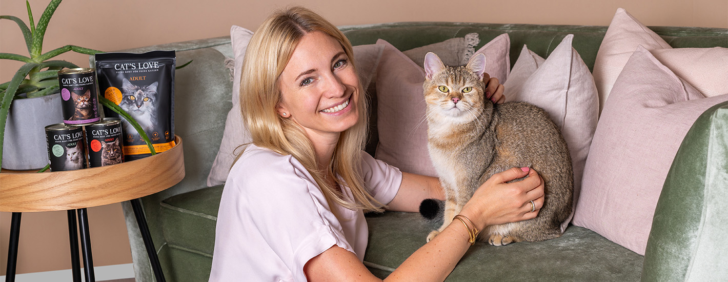 Kitten die in einem kleinen Korb aus Stoff sitzt und nach oben blickt