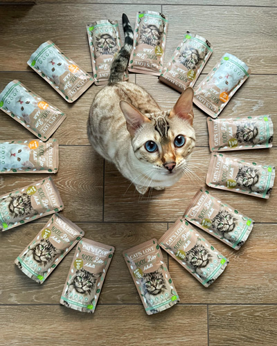 Katze steht am Boden und schaut nach oben, um sie herrum sind Bio Pouches verteilt