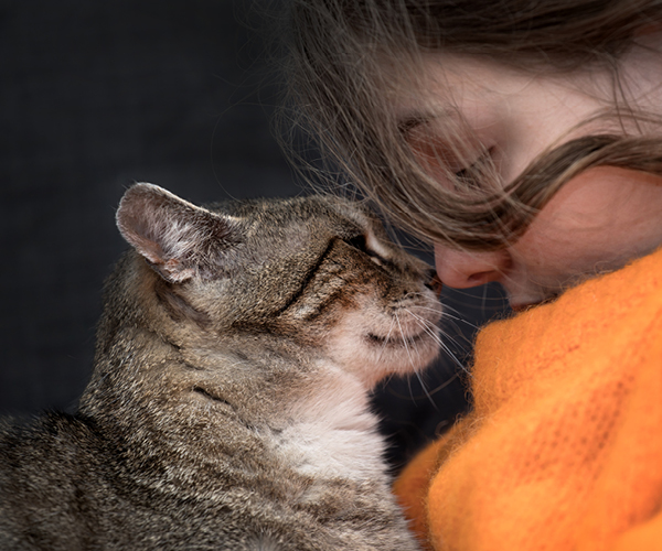 Eine Katze ganz nah an einem Menschen