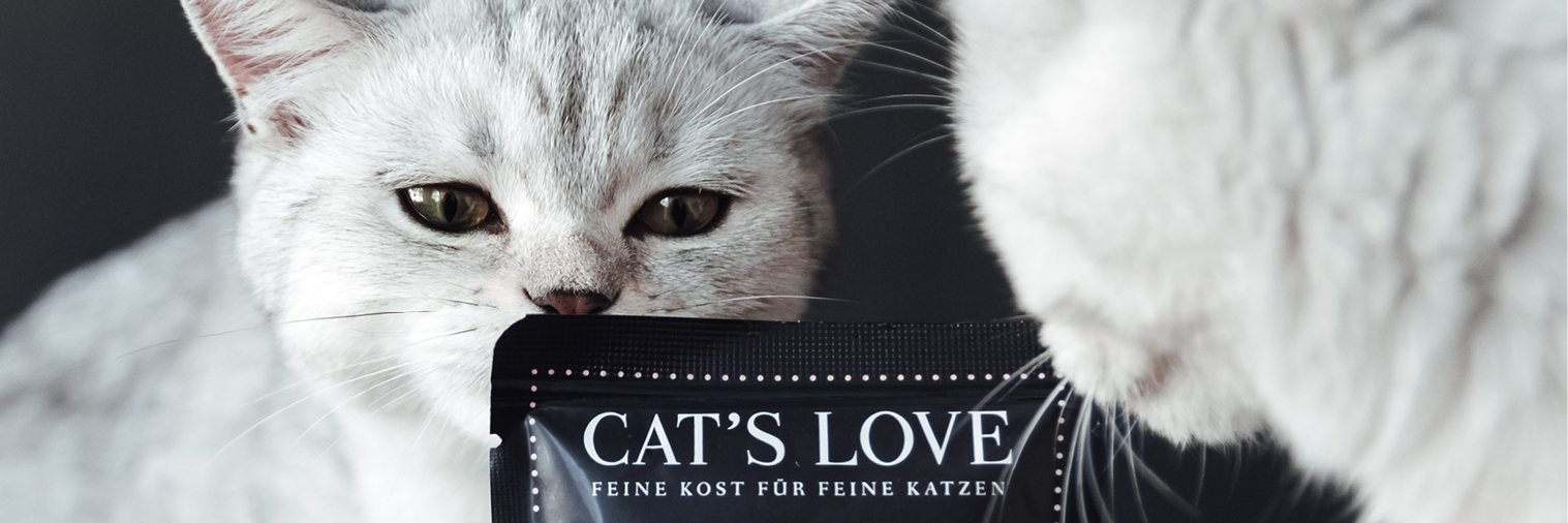 Zwei Katzen die an einer Pouch von CAT'S LOVE riechen