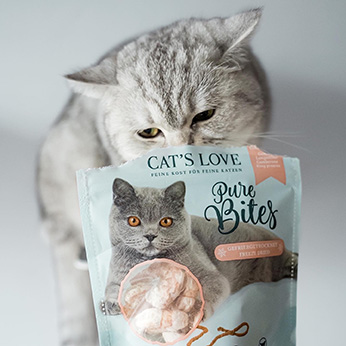 Cat treats