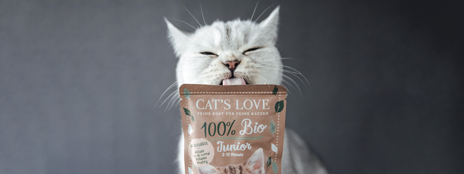 Kitten licking an organic pouch