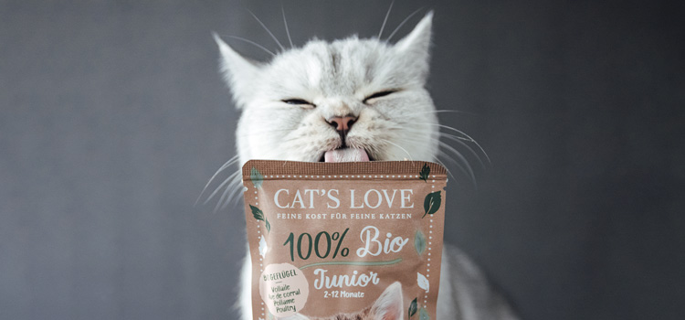 Kitten licking an organic pouch