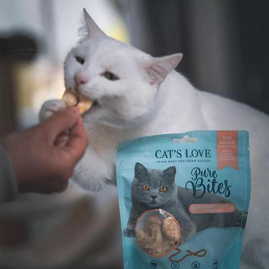 Pure Bites | Langostino