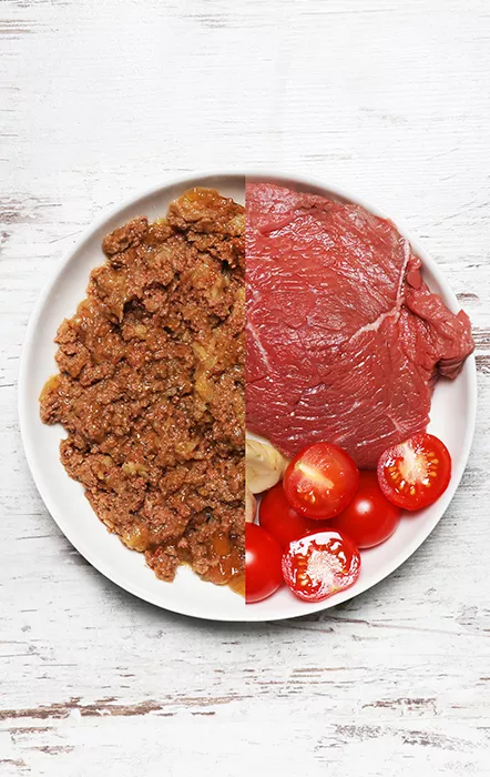 Hipoalergenico Caballo | Alimento hipoalergénico para perros