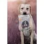 Complemento Alimentico Ecologico Para Perros | Soft Sticks Pollo