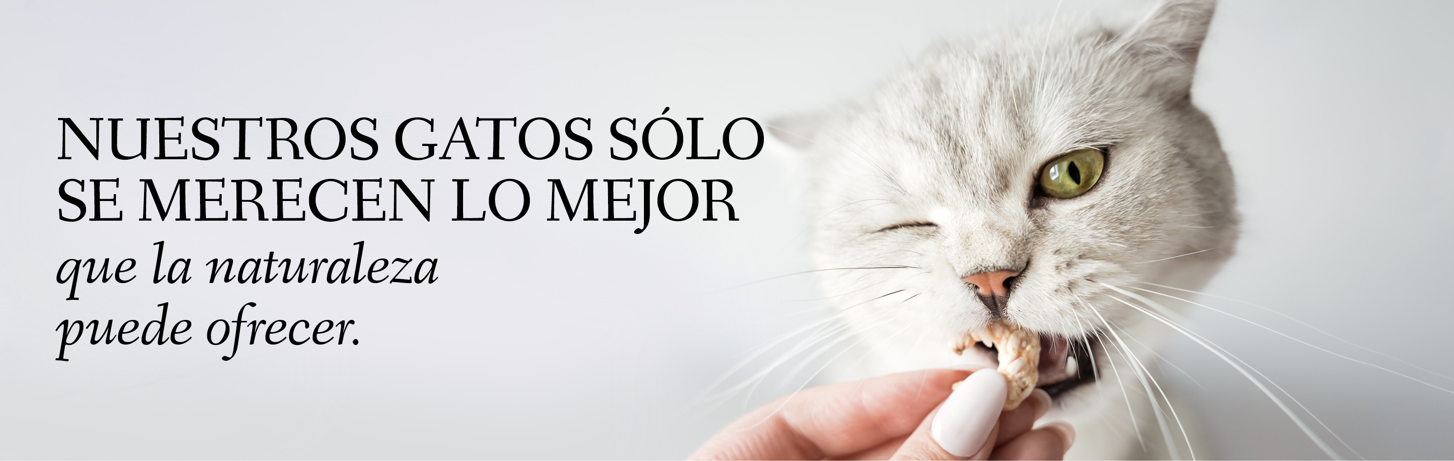 Banner con un gato mordisqueando una gamba con el texto: Nuestros gatos sólo se merecen lo mejor que les ofrece la naturaleza.