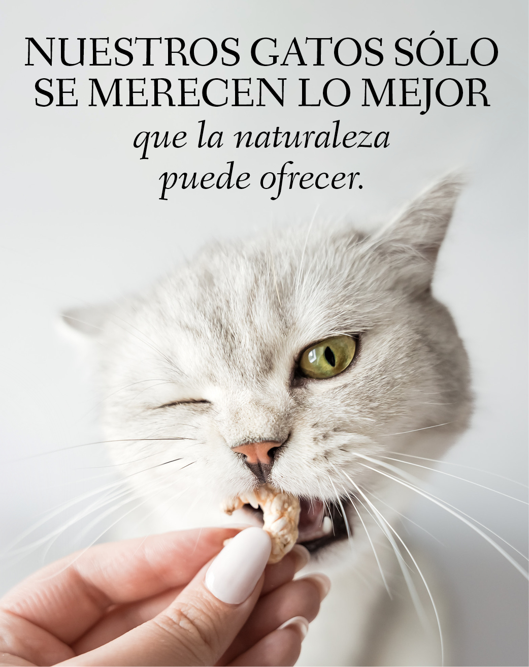 Banner con un gato mordisqueando una gamba con el texto: Nuestros gatos sólo se merecen lo mejor que les ofrece la naturaleza.