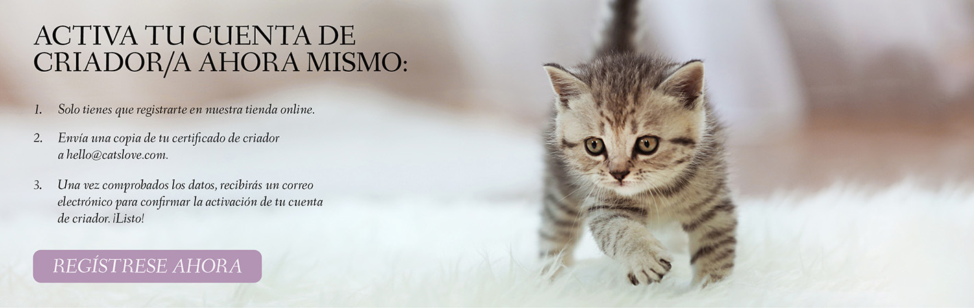 Banner que muestra un gatito caminando sobre una alfombra con información sobre el registro y la posibilidad de hacer clic en un botón para crear una cuenta de cliente.