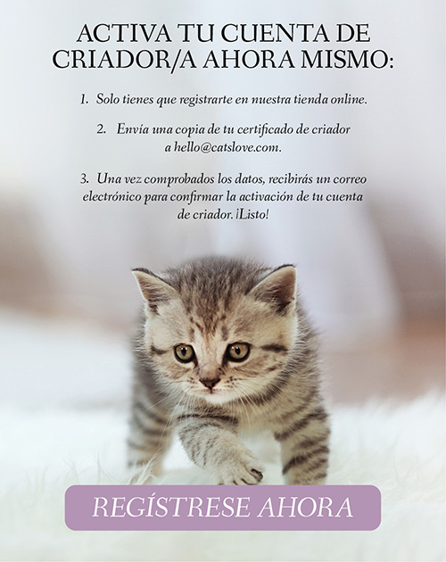 Banner que muestra un gatito caminando sobre una alfombra con información sobre el registro y la posibilidad de hacer clic en un botón para crear una cuenta de cliente.