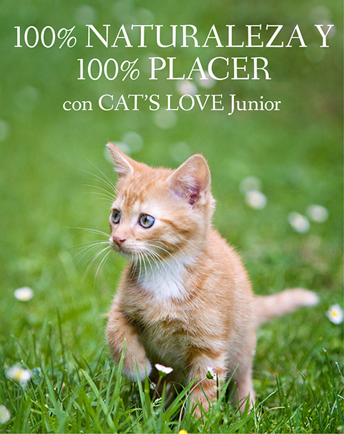 Pancarta en la que aparece un gatito corriendo en un prado cubierto de margaritas con las palabras: 100% Naturaleza & 100% Placer con CAT'S LOVE Junior