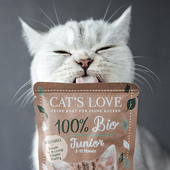 Nourriture bio pour chats