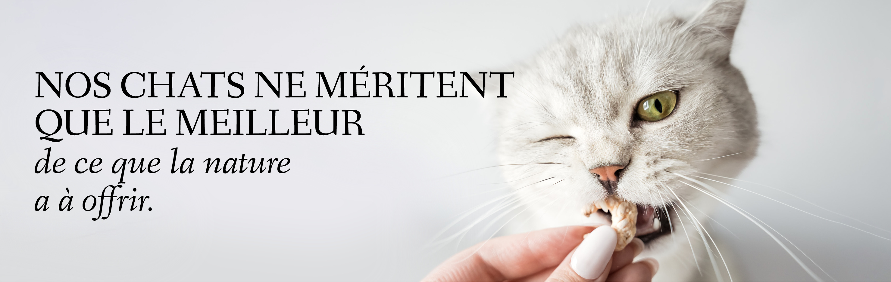 Bannière avec un chat grignotant une crevette avec le texte : Nos chats ne méritent que le meilleur que la nature a à offrir.