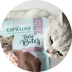 Gatto che sgranocchia una confezione di Pure Bites